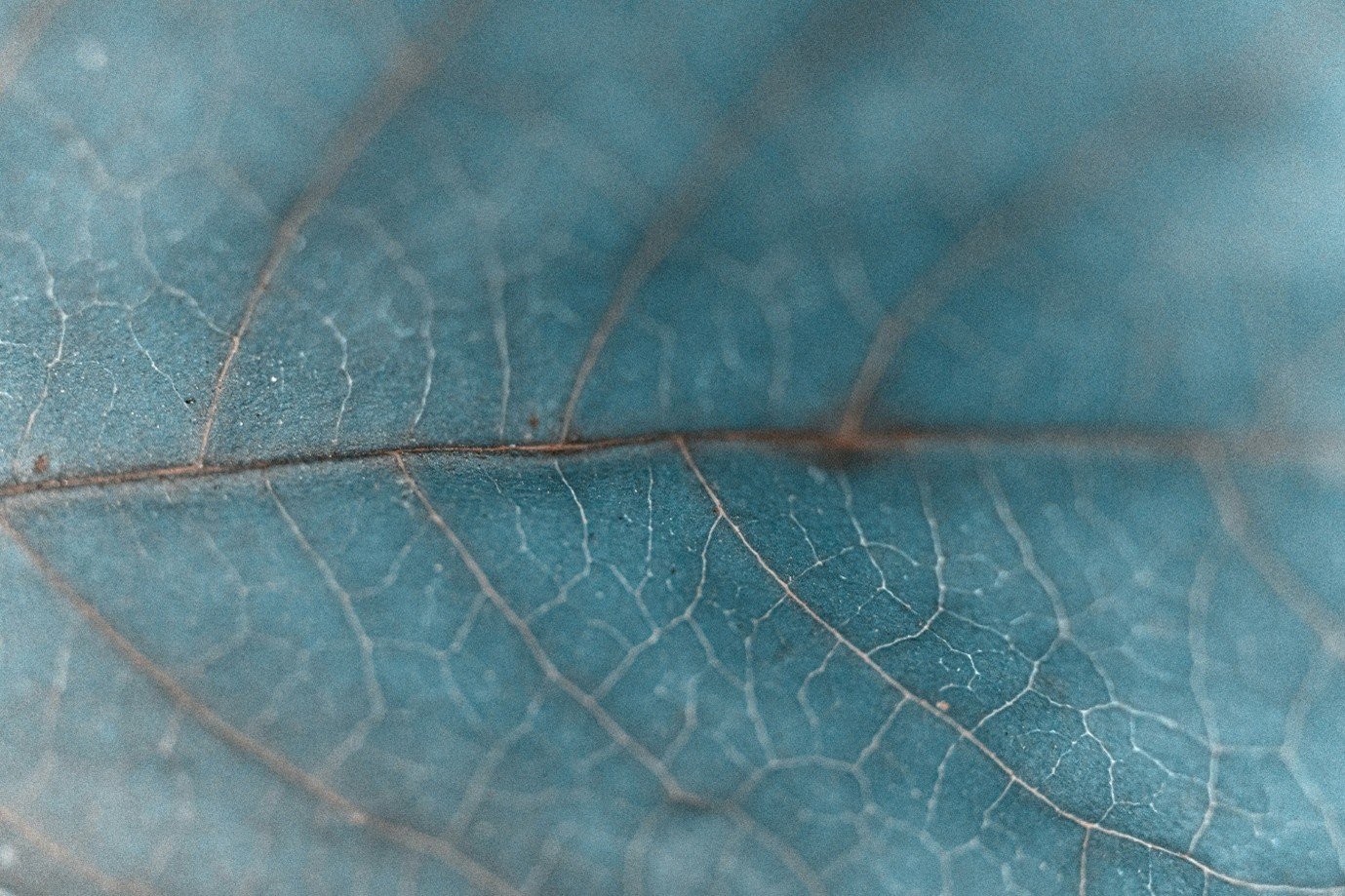 Representations vs Warranties when hiring