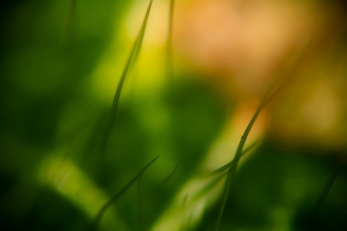 Workplace Gender Equality