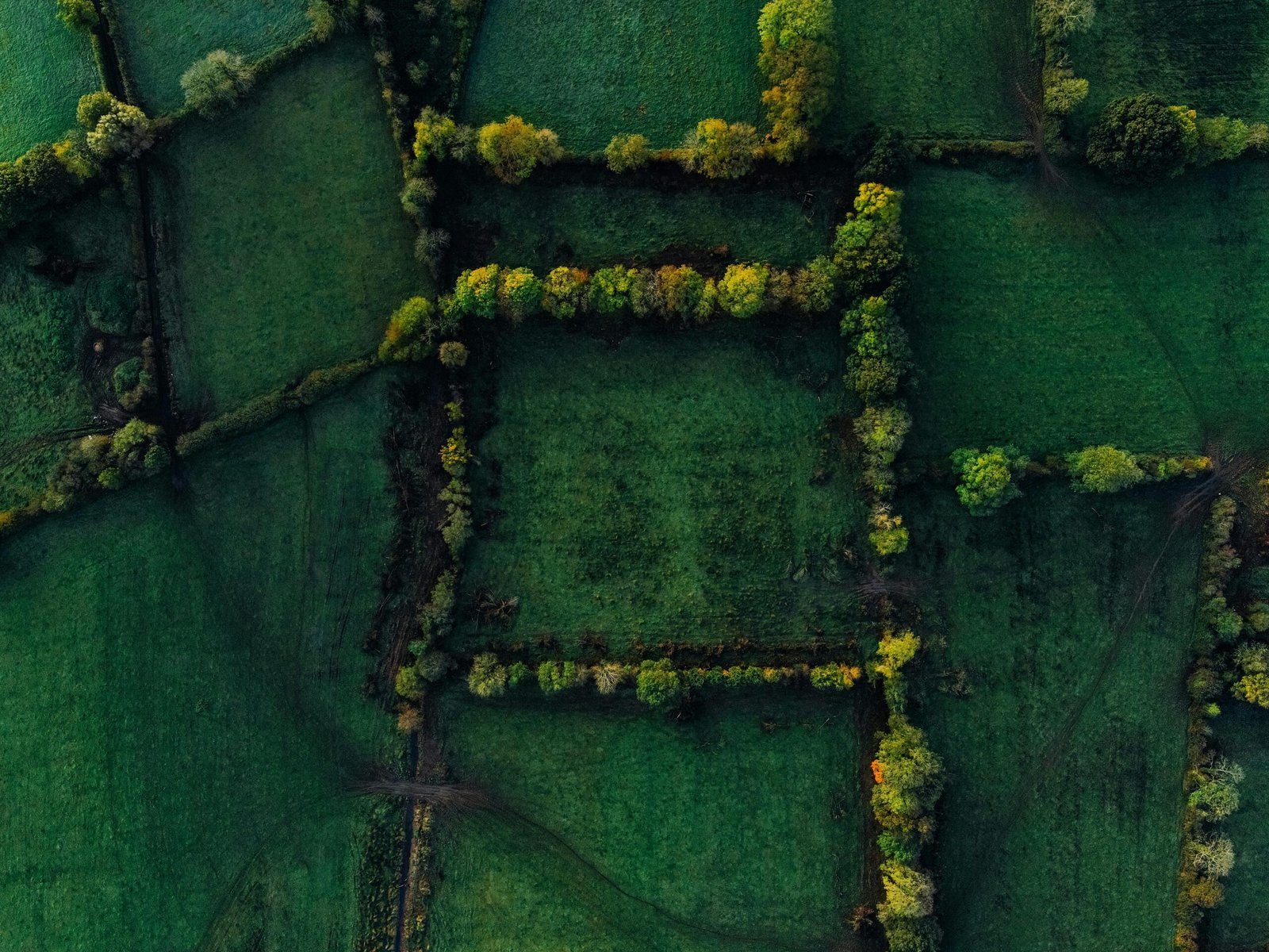 Workplace law changes