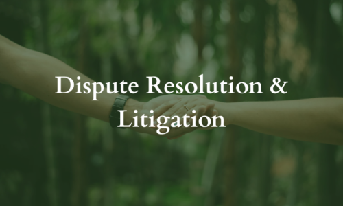 Dispute Resolution & Litigation