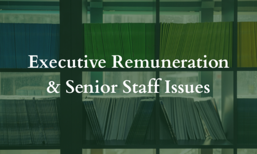 Executive Remuneration & Senior Staff Issues