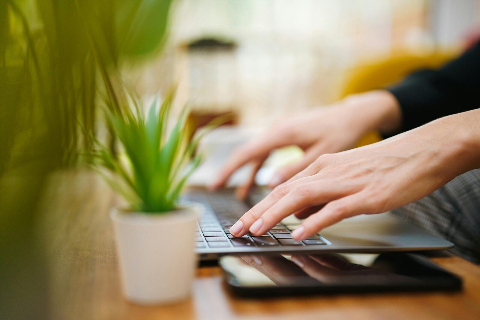 Hands typing on a laptop in an indoor setting with a green plant. Perfect for work from home concepts.