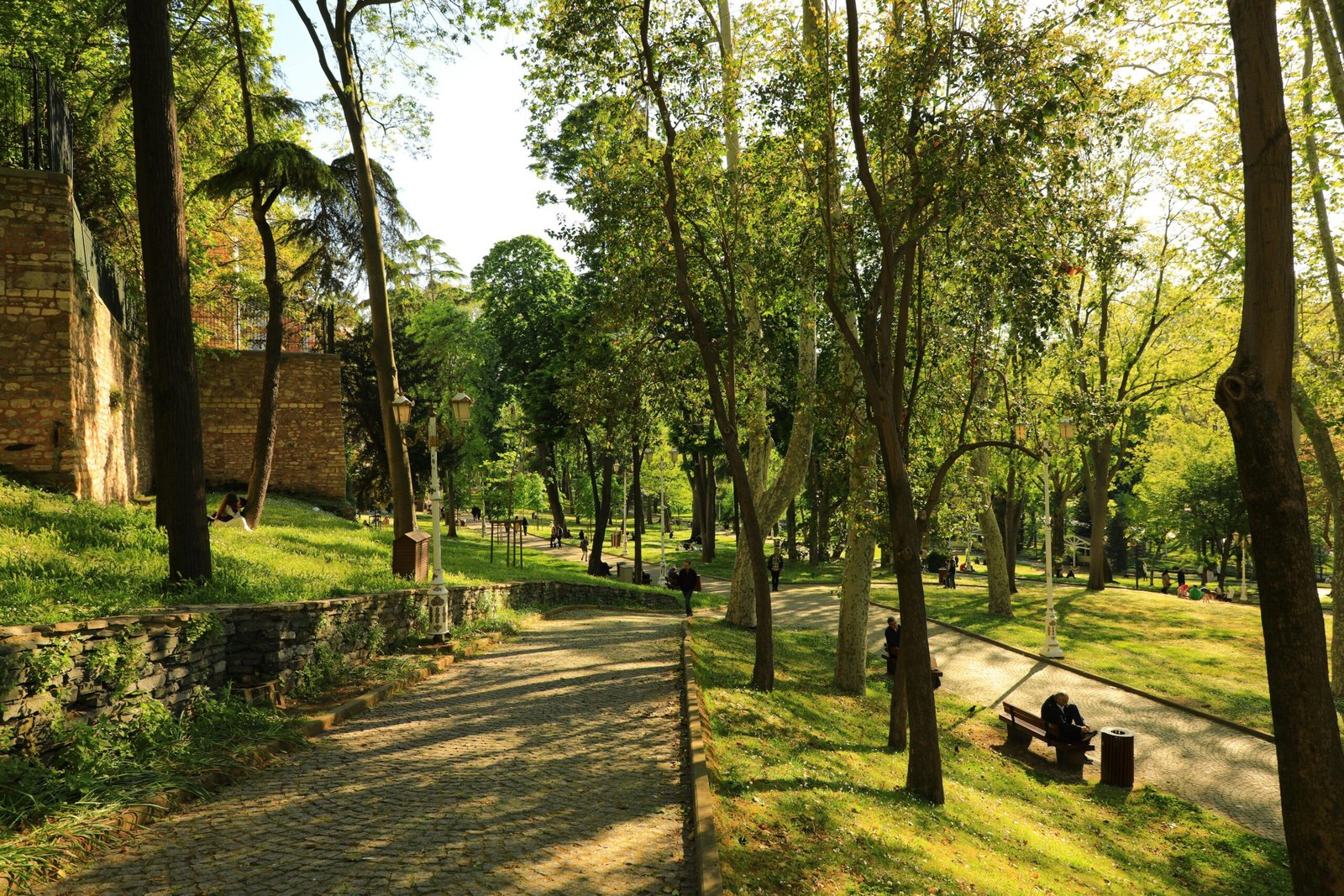 Enjoy a serene stroll through Gülhane Park in İstanbul with lush greenery and sunlight.