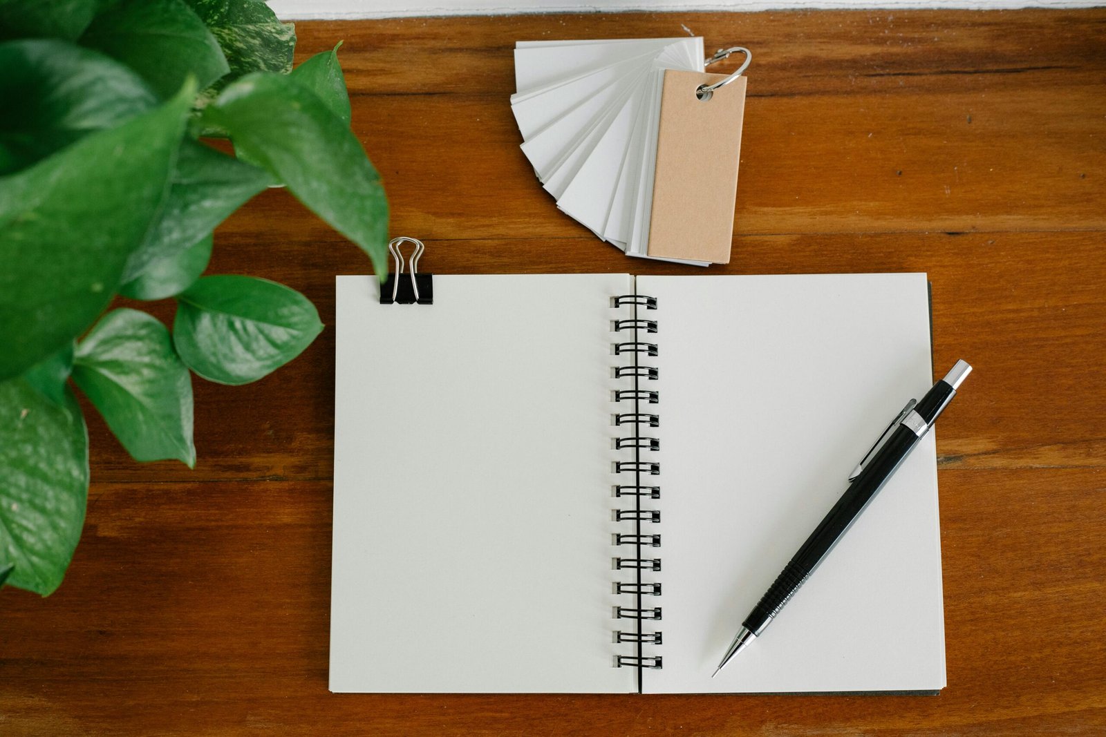 Employment Contracts