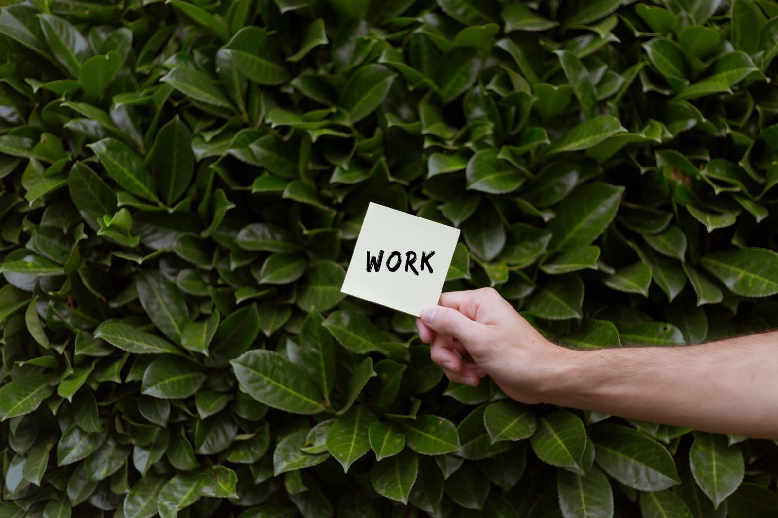 A hand holds a 'Work' note against a vibrant green leaf background, symbolizing balance.